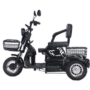 전기 Trike 600W 가족 여객화물 전기 세발 자전거 3 륜 전기 자전거