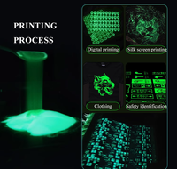 Poudre Luminescente Phosphorescente qui Brille dans le Noir pour Céramique, Résine et Verre