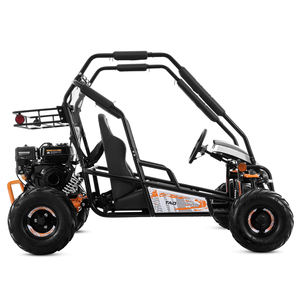 Tao Motor 2025 New Dune <span class=keywords><strong>Buggy</strong></span> Steel Frame Parts 200cc Off Road Adult Go Kart - Product Image 2