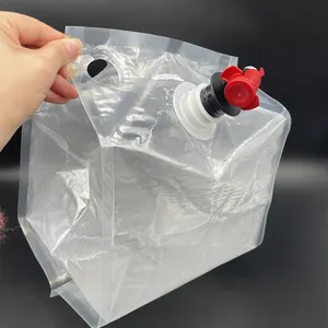 Custom Transparent 5L 10L 15L 20L 22L Liquid Aseptic Bag In Box With Butterfly Oil Faucet Valve