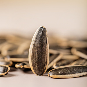 Snack séché sans additif grillé à haute température <span class=keywords><strong>de</strong></span> grandes graines <span class=keywords><strong>de</strong></span> <span class=keywords><strong>tournesol</strong></span> crues <span class=keywords><strong>de</strong></span> qualité supérieure - Product Image 3