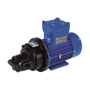 ปั๊มน้ำ Japy Pumps รุ่น Pe-S 1 นิ้ว แบบเชื่อมต่อหน้าแปลน มอเตอร์ไฟฟ้าสามเฟส - Product Image 1