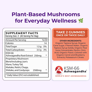 OEM organik ashashandha mantar Gummies mantar takviyesi performans artırıcı erkekler kadınlar için bağışıklık ve odak desteği - Product Image 6