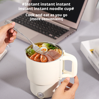 Bouilloire électrique pliable 3-en-1 pour la maison, les voyages et le bureau, 0,8 L, 600 W, 304SUS, contrôle multi-températures, efficacité énergétique A+++.