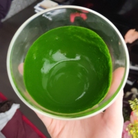 Thé Matcha Vert Japonais Bio en Poudre de Haute Qualité, Vente en Gros OEM, 1kg, pour Cérémonie