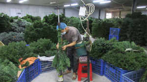 工場卸売環境にやさしい非点灯混合PVC & カシミアハードニードル7.5フィート225 Cmクリスマスツリーとパインコーン - Product Image 4