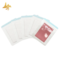 Hot & Cold Packs Patch transdermique Nouveau produit-Pansements chinois à base de plantes pour le soulagement de la douleur sciatique du dos
