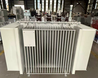Transformateurs immergés dans l'huile Copper S22-M-1250/10