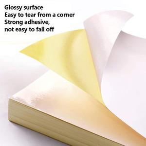 Vinyl Sticker A4 PVC Rectangular Waterproof Laser Printing Custom <b>Label</b> <b>Packaging</b> - Product Image 4