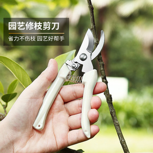 Pinheng Pruning Shears Stainless Steel 10-20mm Bypass Manual Garden Trim <b>Tool</b> - Product Image 1