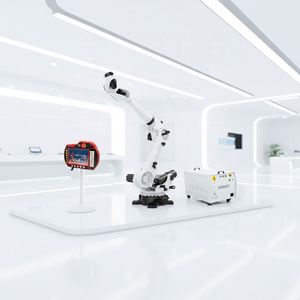 Robot de Paletización BORUNTE de Alta Calidad, Totalmente Automático, de Seis Ejes, con Pinza, para Corte, Carga y Paletización - Product Image 3