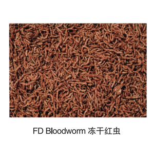 Nourriture pour poissons en gros, vers de sang lyophilisés 100% naturels - Product Image 3