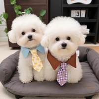 Bavoir pour chien, foulard pour chat, mignon, élégant, décoratif, à motif à carreaux, style japonais et coréen, en polyester, accessoire anti-bave pour petit chien
