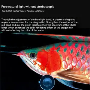 Marca <span class=keywords><strong>Mayin</strong></span> Color sólido IP68 Arowana iluminación de bronceado 6700K logotipo láser pintura UV luz mágica dragón pecera LED acuario Luz - Product Image 4