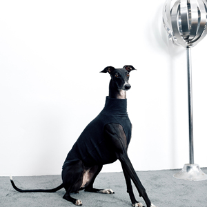 Chaleco de protección del vientre elástico cálido antiestático ecológico para galgos pequeños Bichons-Ropa para mascotas para perros de Año Nuevo - Product Image 6