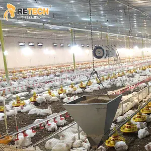 Автоматическая система сбора цыплят Broiler, кормушки и поилки для птицы на продажу