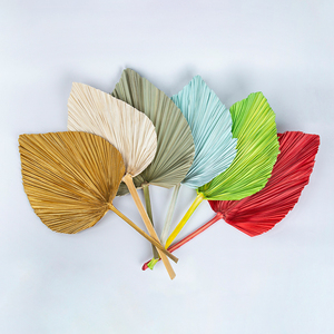 2022 Chaud Naturel Plante Sèche Tropical Spear Palm Variété Couleur Feuilles De <span class=keywords><strong>Palmier</strong></span> Séchées Feuilles De <span class=keywords><strong>Palmier</strong></span> Séchées Fleurs De Mariage - Product Image 3