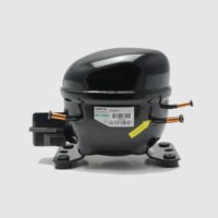 Compresseur de réfrigération DC 12v 24v 134a 600a zel 1/4 1/6 1/5 compresseur de réfrigération hp