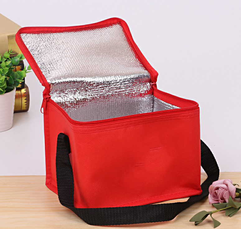 Custom Logo Thermal Lunch Cooler Bag Insulated/Lunch Bag Cooler/Cheap Custom Insulated Cooler Bags