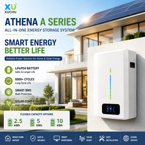 แบตเตอรี่ติดผนัง 25.6V 51.2V 100Ah 200Ah 2.5kWh 5kWh 10kWh สำหรับเก็บพลังงานแสงอาทิตย์ ระบบสำรองไฟบ้าน ระบบออฟกริด - Product Image 1