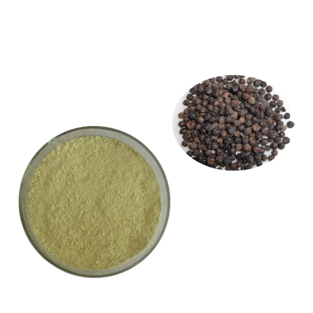 Extrait de poivre noir d'approvisionnement d'usine en pré-entraînement Food garde Piperine Powder 95% 98% extrait de plante