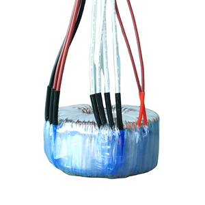 Hình xuyến biến áp 2000VA 220V đến 110V 2000W 220110 chuyển đổi biến áp - Product Image 6