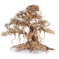 Décoration d'aquarium en bois et céramique, design moderne et écologique, squelette de racine de pin et de rhododendron, emballé en boîte