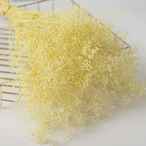 Vente en gros de fleur de rêve séchée millions d'étoiles préservée Décoration de la maison pour l'obtention du diplôme Noël Nouvel An chinois et fête des pères - Product Image 4
