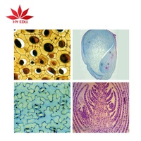 50 Pcs Botany Prepared Microscope Slides with Plant for University Education
