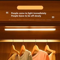 Lumière LED à détecteur de mouvement pour armoire, cave à vin, meuble à chaussures, veilleuse à capteur