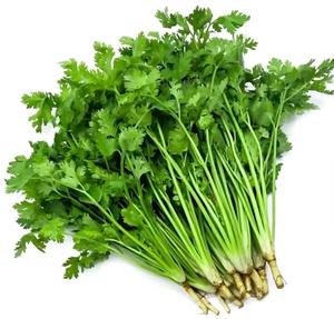 Ensemble de planches à dé<span class=keywords><strong>couper</strong></span> universelles <span class=keywords><strong>pour</strong></span> légumes, coupe-légumes <span class=keywords><strong>julienne</strong></span>, coupe-légumes 205a - Product Image 6