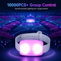 Bracelet LED personnalisé, bracelet lumineux RGB, fabrication OEM ODM, télécommande RF pour concert, mariage, événement