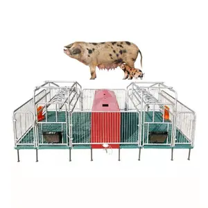 Sow farrowing bed Simply operation Galvanized Pipe farrowing bed farrowing crate prices for Pig Farming for pig farm