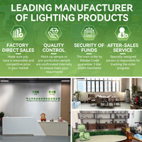 Lampe solaire murale extérieure avec détecteur de mouvement, blanc froid, 176 LED, IP65, étanche, lampes solaires de jardin