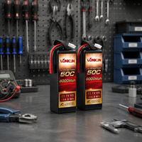 Batterie LiPo LongKun 6S 23.1V 8000mAh 50C à décharge élevée 184.8Wh pour drone RC, UAV, avion OEM/ODM