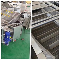Commerciële industriële wasmachine voor fruit, mango's, groenten, aardappelen, tomaten, wortelen / groentewasser / fruitwasmachine