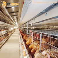 Système de collecte d'œufs automatique en acier galvanisé à chaud de type H, cages à volailles pour poulets, mangeoires et abreuvoirs