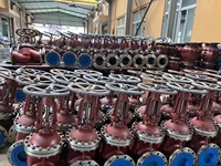 Válvula de Compuerta Personalizada OEM 316L de 14 Pulgadas Clase 150 con Brida OS&Y, Tamaño No Estándar Disponible