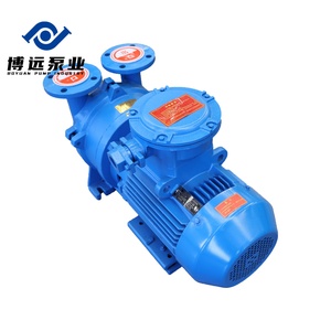 ปั๊มสุญญากาศอุตสาหกรรม BOYUAN รุ่น 2BV ซีรีส์ 2BV5111 แบบวงแหวน OEM คอมเพรสเซอร์หมุนเวียนน้ำ 1-20 - Product Image 2