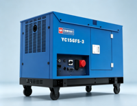 Générateur diesel silencieux 20 kVA, puissance nominale 15 kW, groupe électrogène portable bicylindre en V pour usage domestique, AVR, grand réservoir de 26 L, 230 V 400 V CC