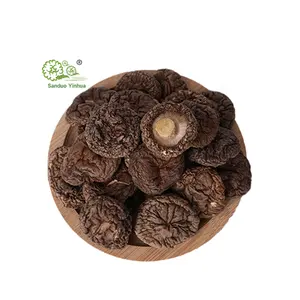 Perda por atacado de alta qualidade de cogumelo shiitake por atacado, cogumelo Xianggu seco, cogumelo shiitake chinês