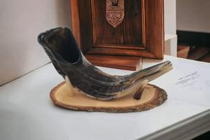 Corne de Viking authentique Support en bois robuste Matériaux de première qualité pour une utilisation durable Décoration de la maison de style animal Technique polie - Product Image 2