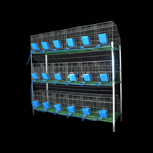 Fabricant Professionnel de Cages Commerciales à 4 Niveaux et 24 Compartiments pour l'Élevage de Lapins - Product Image 6