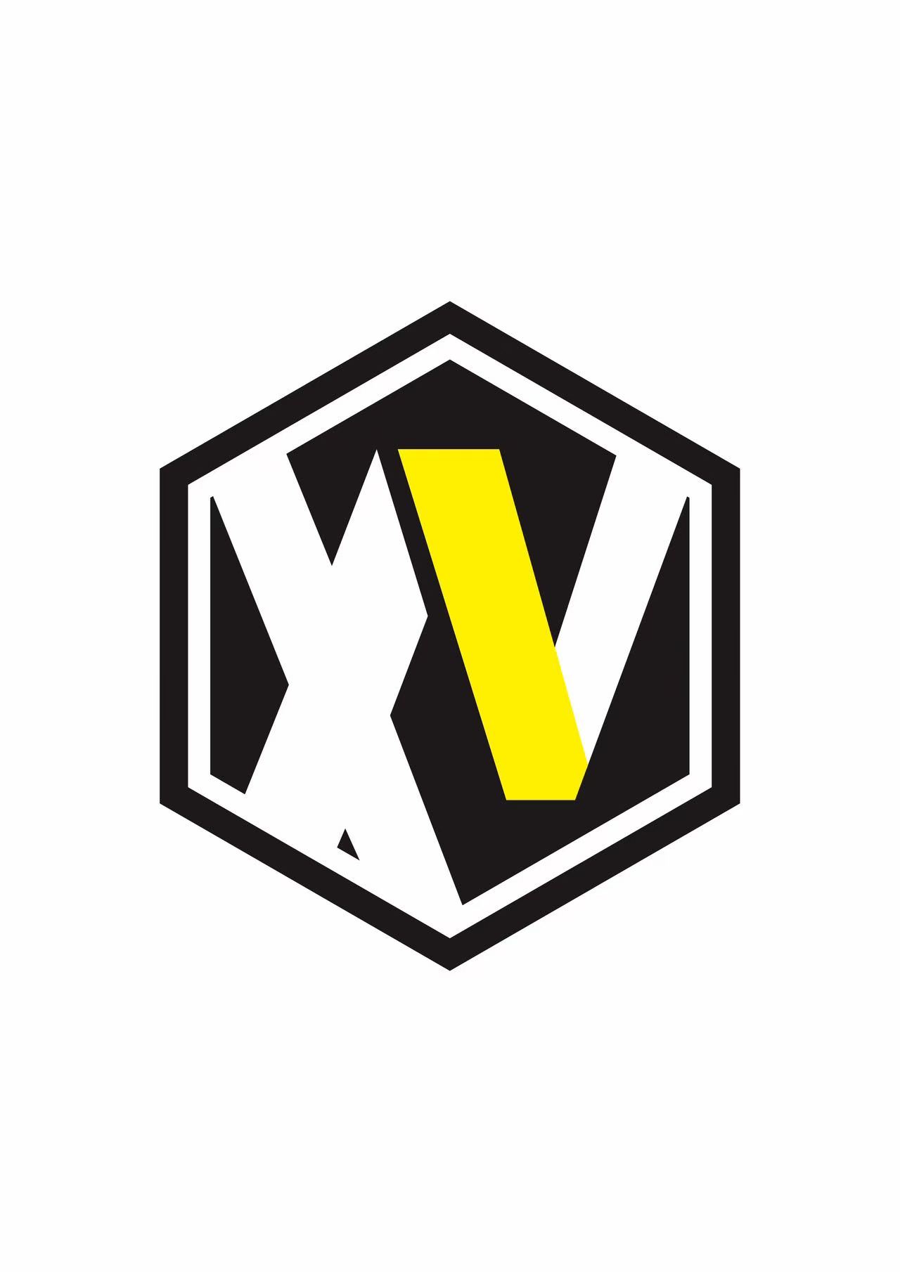 Guangzhou Xintu Auto Parts Co., Ltd. logo