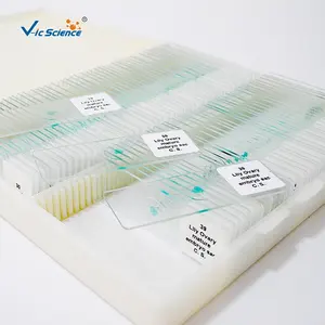 Microscopio educativo de biología para estudiantes, toboganes para Preparación, espécimen de biología, 100 Uds.