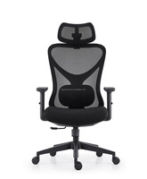 LAIAN Chaise de bureau ergonomique Accoudoir 3D Appui-tête réglable Soutien lombaire réglable Chaise de personnel Dossier en maille