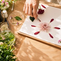 Kit de presse à fleurs, pressage facile en une seule étape, pression uniforme, 6 couches, 10 x 6 pouces, kit de presse à fleurs pour enfants et adultes