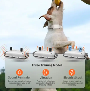 New Wholesale Custom Logo Waterproof <strong>Anti</strong> <strong>Bark</strong> Training <strong>Pet</strong> Dog <strong>Collar</strong> - Product Image 4