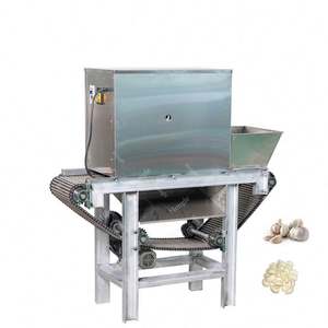 Máquina peladora de licuadora de ajo de venta caliente en India - Product Image 5