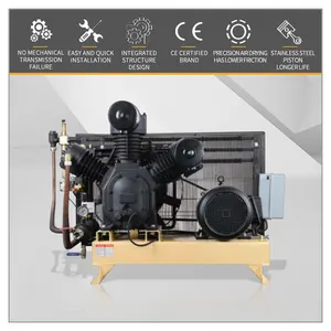 30bar 2000l/mn Compressor Air Compressor 40 Bar High Pressure Air Compressor For Pet Blow Moulding Machine